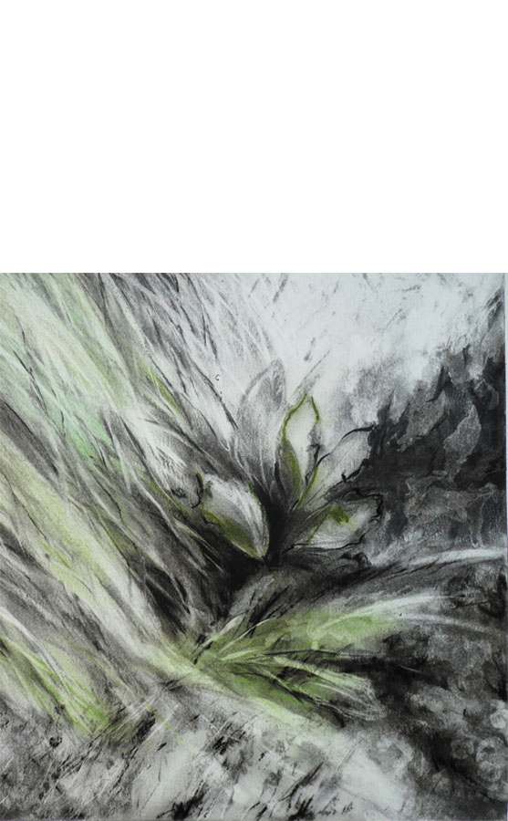 cliquez pour agrandir Ariane de Briey dessins