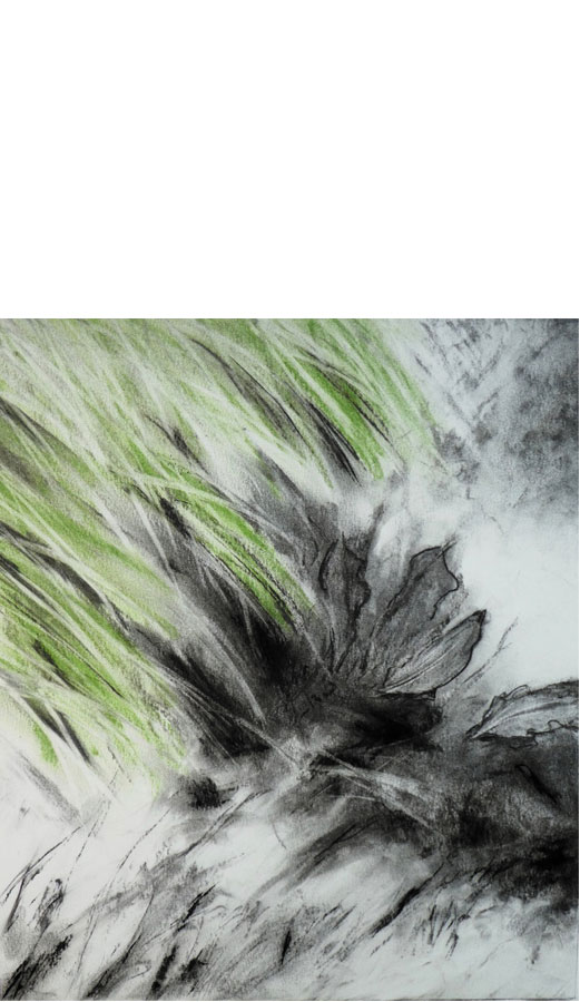 cliquez pour agrandir Ariane de Briey dessins