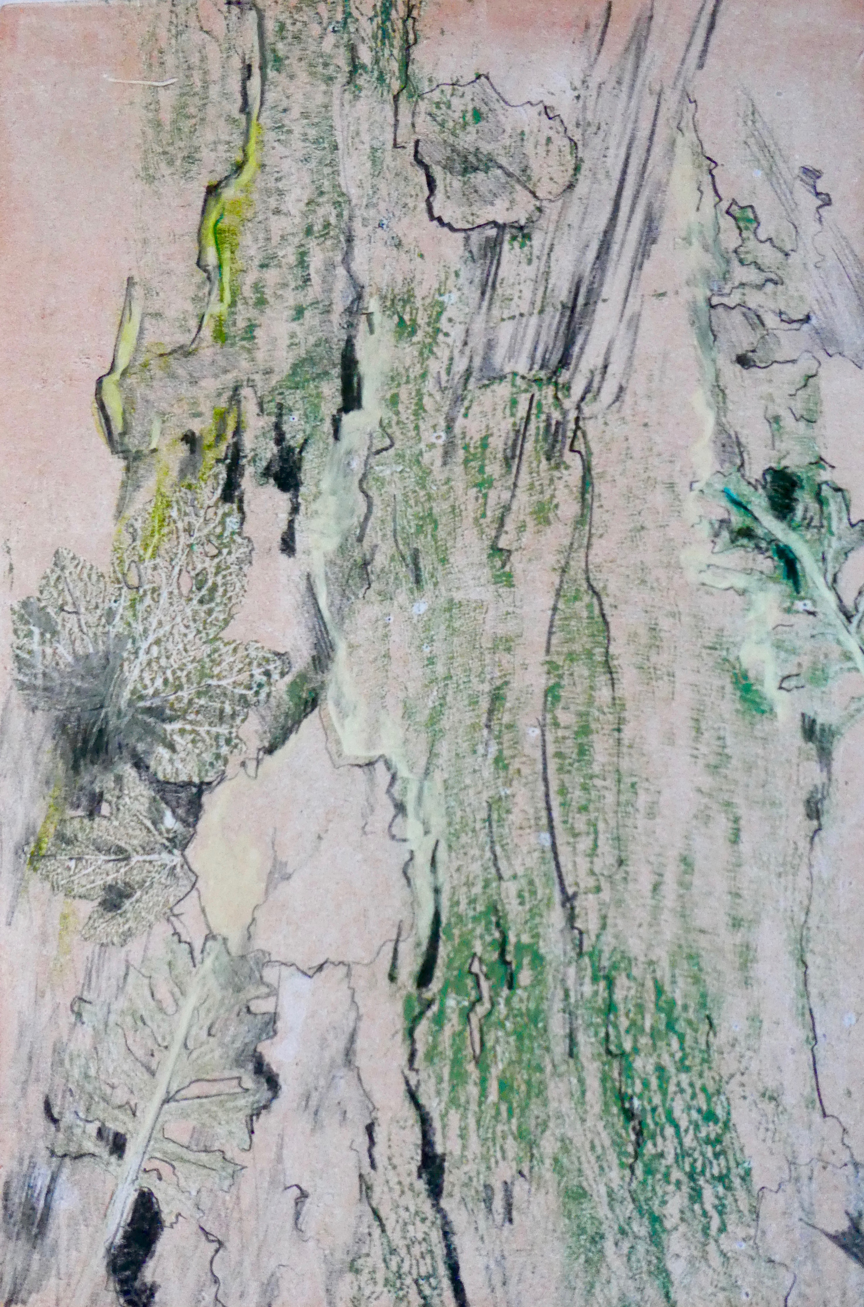 cliquez pour agrandir Ariane de Briey dessins