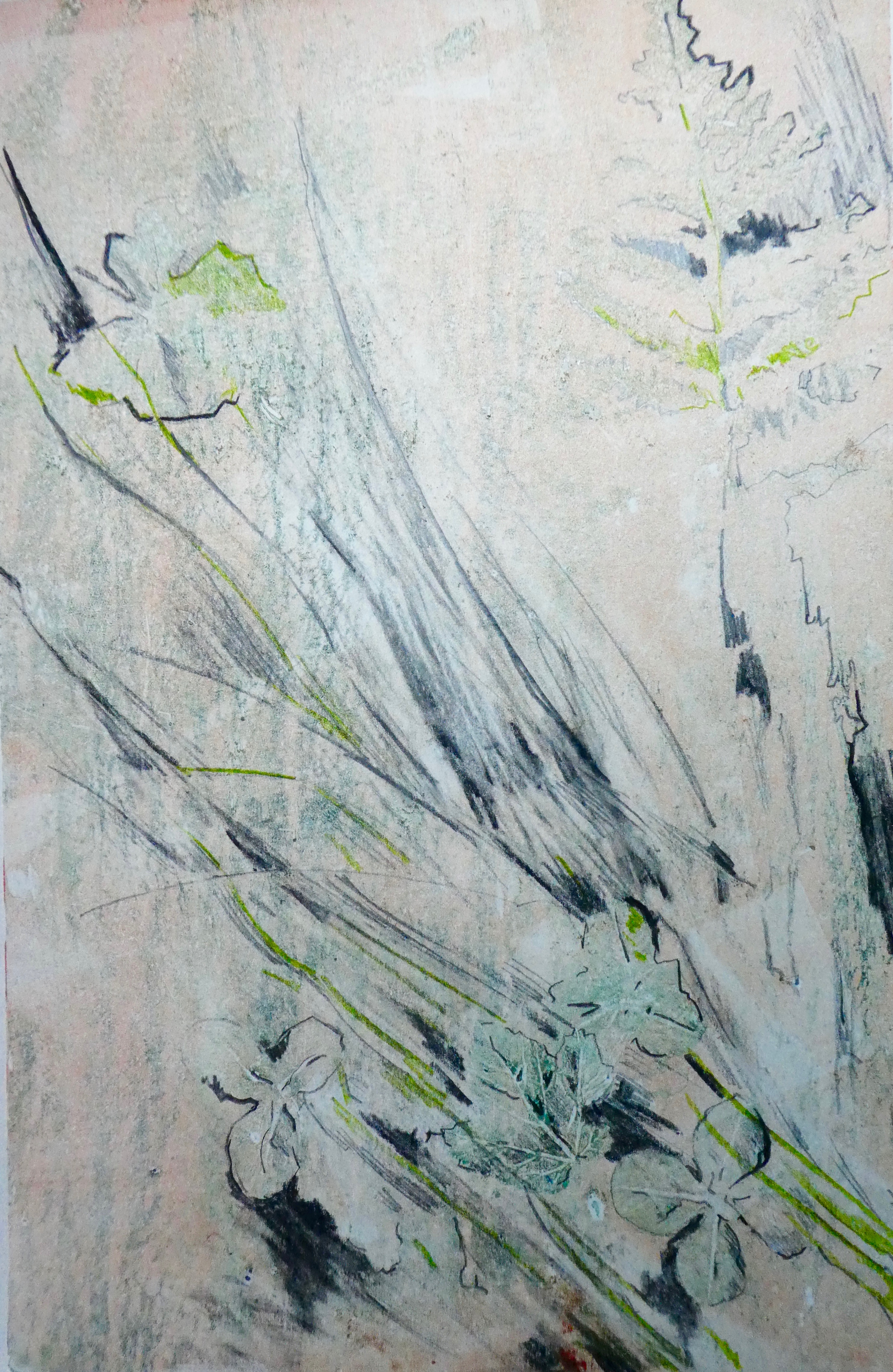 cliquez pour agrandir Ariane de Briey dessins